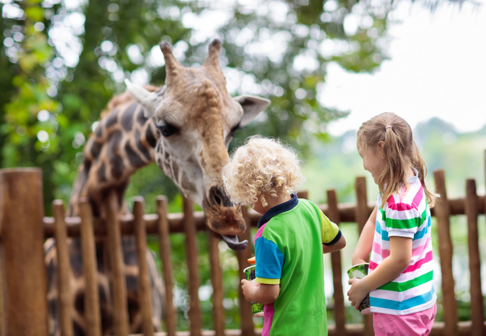 رفتن به باغ وحش - وقت گذرانی با فرزند